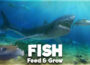 Feed and Grow Fish Pre-Installed Steamunderground.net