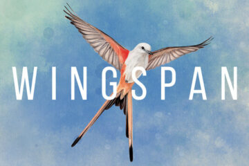 Wingspan Pre-Installed Steamunderground.net